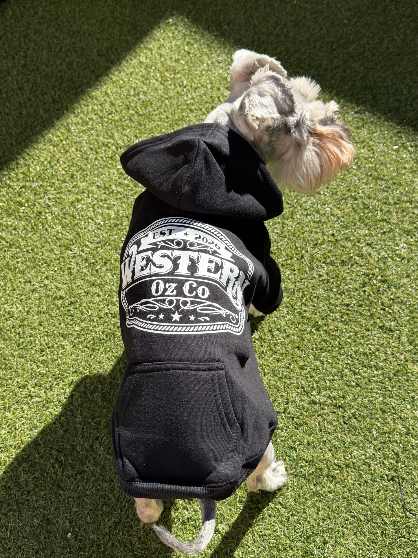 Man's Best Friend Dog Jumper