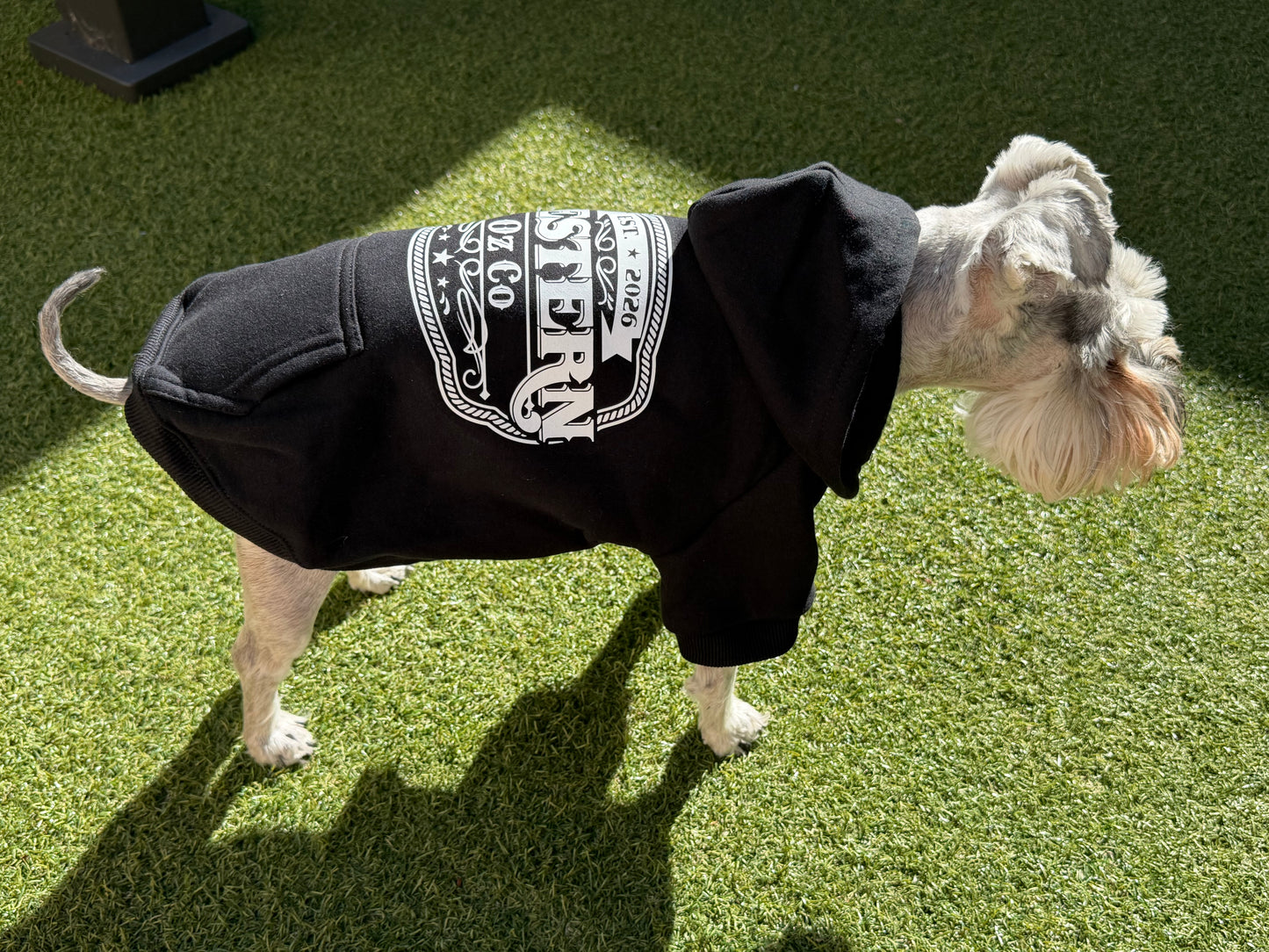 Man's Best Friend Dog Jumper