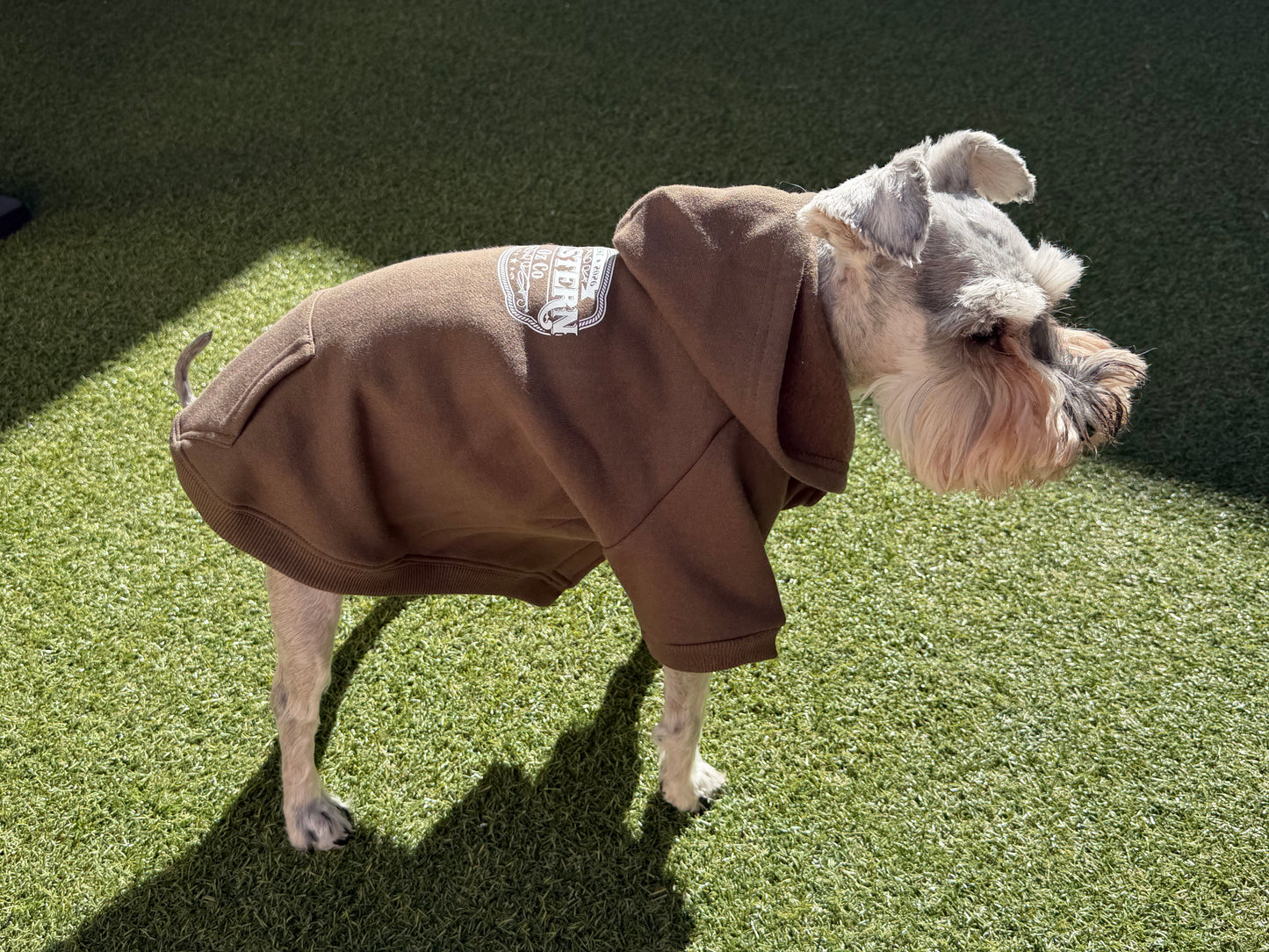 Man's Best Friend Dog Jumper